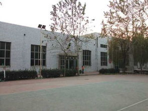 保定乒乓球训练班图片,保定乒乓球训练班高清图片 保定市正大乒乓球学校,