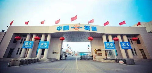 最新 保定线下教育培训机构开班时间确定 英利正式进入司法重整程序