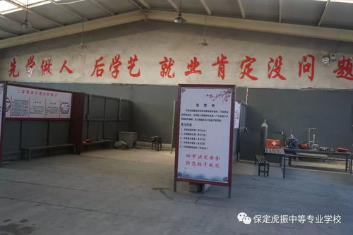 保定虎振学校开学啦