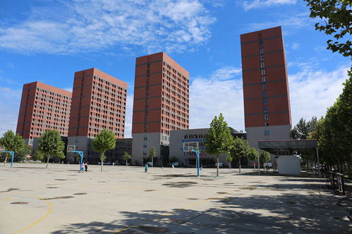 太美啦 这就是贺阳教育集团的美丽校园